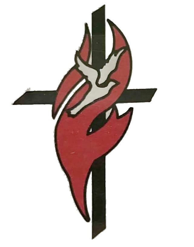 New Light and Power logo